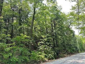 Lot 20 Dyke Mountain Rd, Sebago, ME 04029
