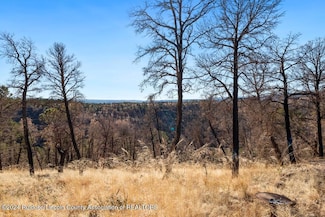 136 Gavilan Hills Rd, Ruidoso, NM 88345