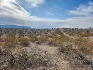 1160 Phantom Creek Ln, Meadview, AZ 86444