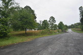 00 Flowers Ln, Bethel Springs, TN 38315