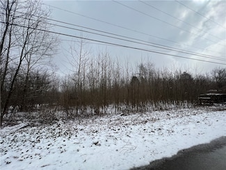 Lots 61-64 Willow Dr, North Beaver Township, PA 16102