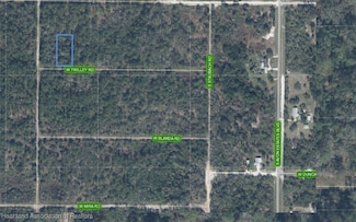 2946 W Twilley Rd, Avon Park, FL 33825