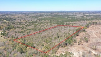 0 County Road 1244, Linden, TX 75563