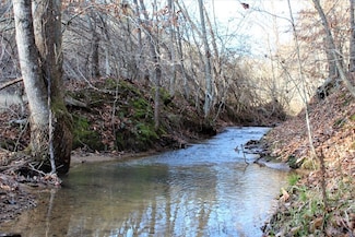 0 Rt 4 Box 49 War Creek, West Liberty, KY 41472