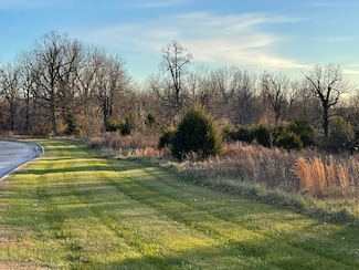 1 Paradise Rd, West Ozark Township, MO 65757