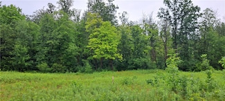 Lot 3 Musky Point Dr, Sand Lake, WI 54876