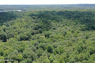 2997 Reaves Rd, Ashland, MS 38603