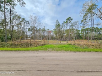 1718 Papaya St, Bunnell, FL 32110