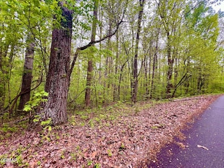Lot 71, 72 Polly Mountain Rd, Madisonville, TN 37354