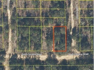0 S Carolina St, Hawthorne, FL 32640