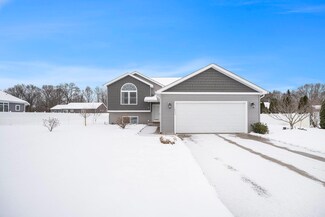 1003 Comstock Ct, Otsego, MI 49078