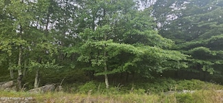 LV Lot 454 Wild Ginger Way, Hazle Township, PA 18202