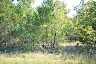 Lot 76 Lcr 894, Jewett, TX 75846