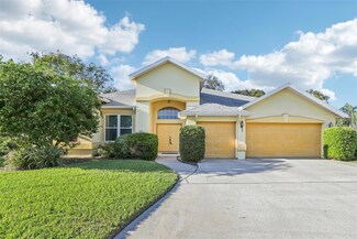 4039 Eagles Nest Dr, Valrico, FL 33596