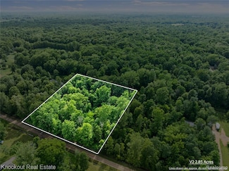 #0079 V L Natures Nest Rd, Vassar, MI 48768