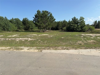 51 Road 5102, Cleveland, TX 77327