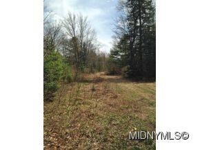 0 Dow Rd Unit 1400176, Cold Brook, NY 13324