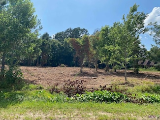 18383 Amite Acres Dr, Prairieville, LA 70769