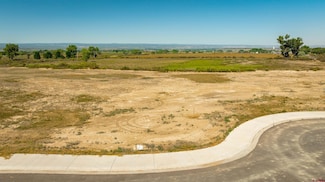 Lot 8 Galway Ct, Montrose, CO 81401
