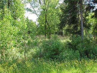 4176 Foxwood Dr, Williamson, NY 14589