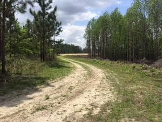 0 E 0 Hwy 125 S, Tifton, GA 31794