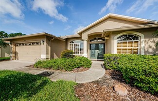 1425 Morning Rose Place, Trinity, FL 34655