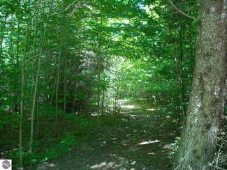 00 Taylor Rd, Bear Lake, MI 49614
