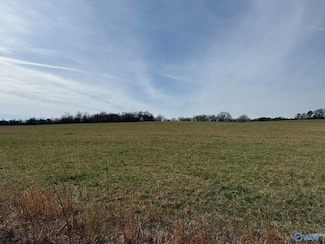 40 Ac County Road 131, Bryant, AL 35958