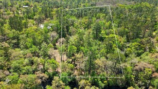 17600 Aucilla River Estates, Lamont, FL 32336