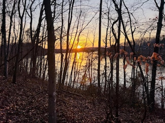 0 Island Pointe Dr Unit 356939, Pittsville, VA 24557