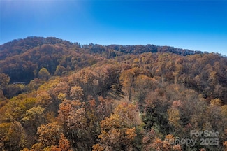 6 Copperhead Cove Rd, Sylva, NC 28779