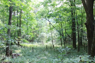 Lot 7 High Mountain Rd, Harman, WV 26270