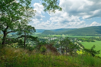 L16 Mount Path, Middleburgh, NY 12122