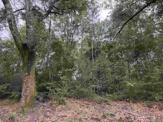 00 Blackmon Rd, Red Level, AL 36421