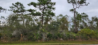36201 Washington Loop Rd, Punta Gorda, FL 33982