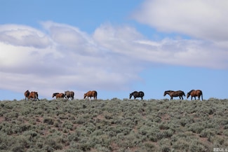 TBD S of Buckeye Creek (61), Gardnerville, NV 89410