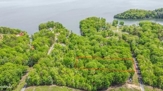 00 Hickory Dr, Spring City, TN 37381