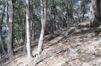 22494 Mojave River Rd, Crestline, CA 92325
