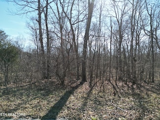 1045 Yucatan Ln, Crossville, TN 38572
