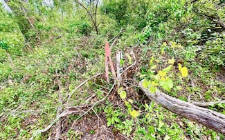 3 NW Fox Run Trl Lot 105, Mayo, FL 32066