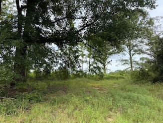 0 County Road 217, Ariton, AL 36311