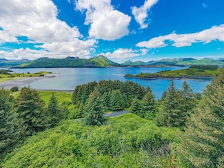 0 Tbd Cliff Point Road Highliner Unit Lot 1 11175383, Kodiak, AK 99615