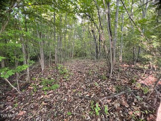 0 Shakesville Rd (7 5 Acres), Bristol, VA 24201