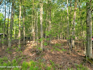 N1951 E Creek View Dr, Clifton Township, PA 18424