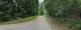 Sierra Dr, Williford, AR 72482