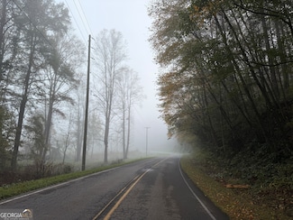 0 Whitepath Rd Unit 10642608, Ellijay, GA 30540