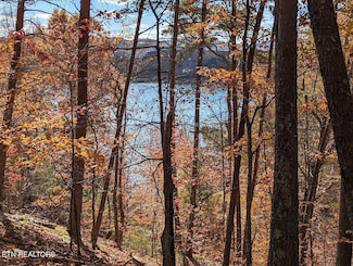 lot 155 Emerald Point, Sharps Chapel, TN 37866