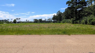 Lot 2-B6 Tungoil Rd, Pine Grove, LA 70453