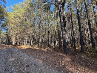 000 Grant 4613, Sheridan, AR 72150