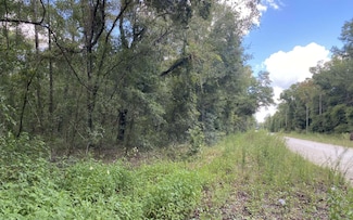 0 216th Terrace, Obrien, FL 32071